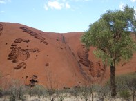 uluru 95